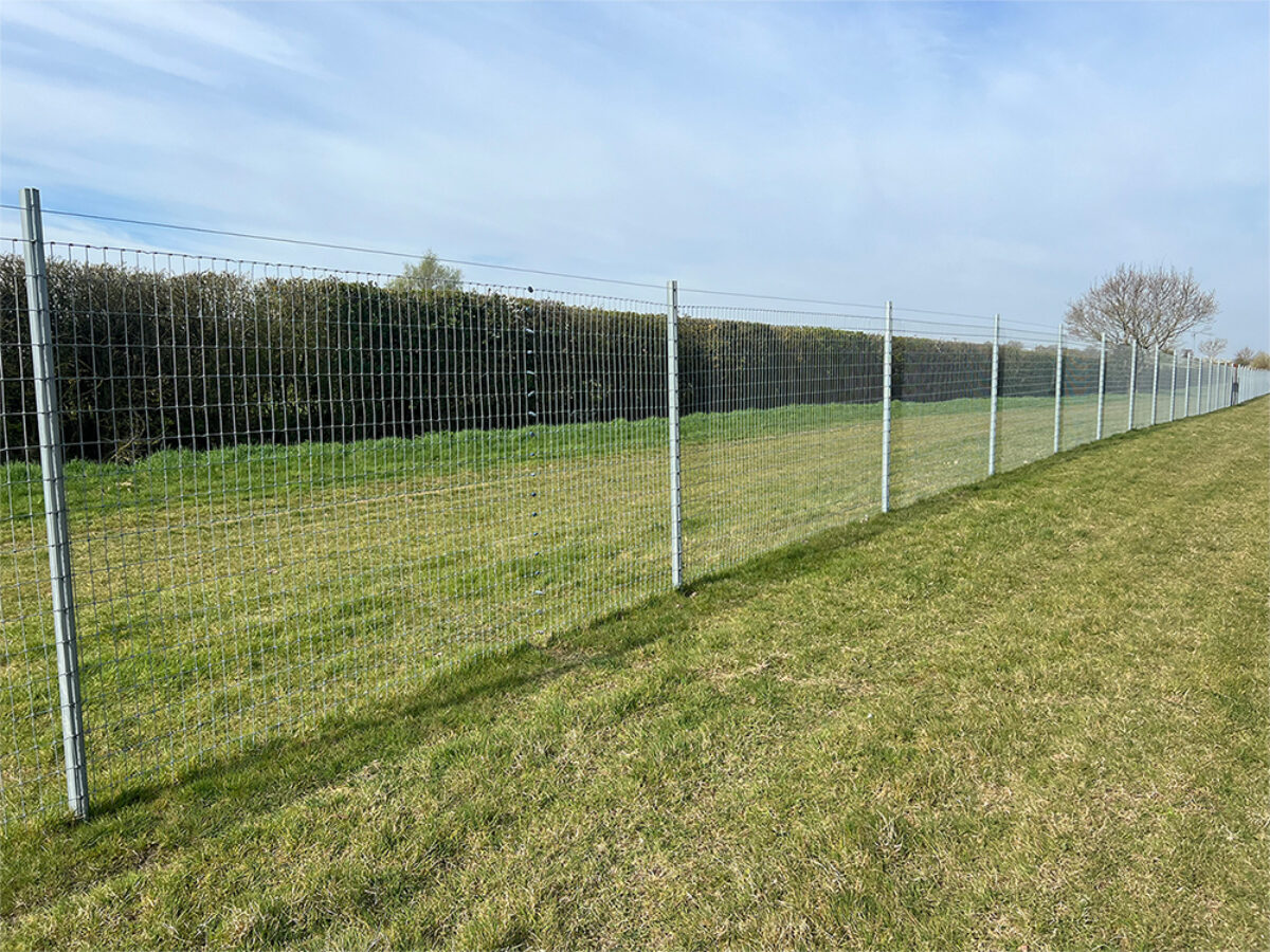 Baulking Dog Field large photo 2 Baulking Dog Field large photo 2