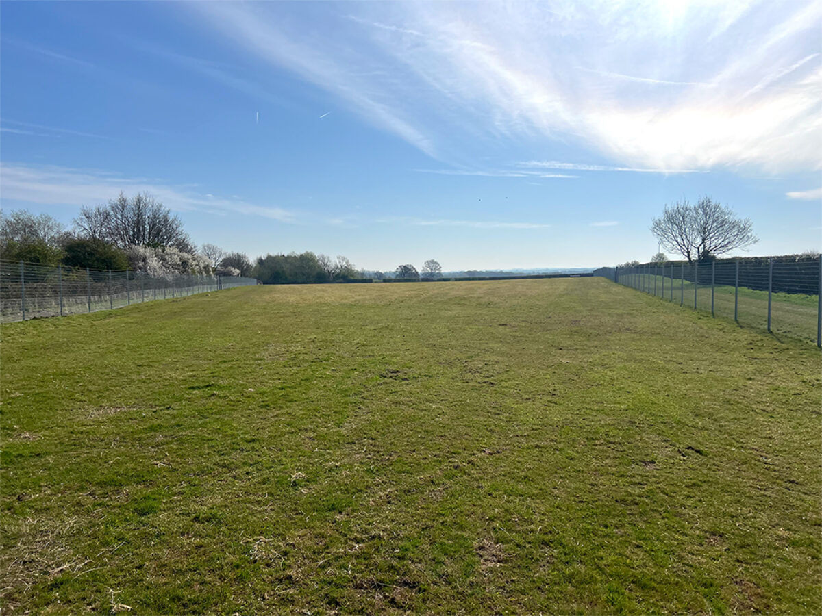 Baulking Dog Field large photo 3 Baulking Dog Field large photo 3