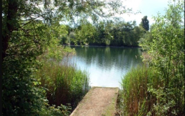 Bedfont Lakes County Park Dog walk in Middlesex