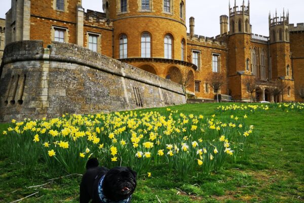 Belvoir Castlephoto