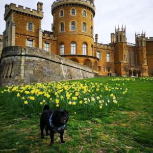 Belvoir Castle