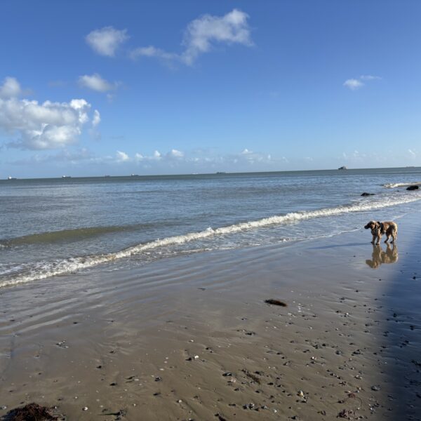 Bembridge Beach photo 1