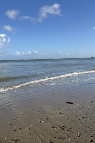 Dog walk at Bembridge Beach photo