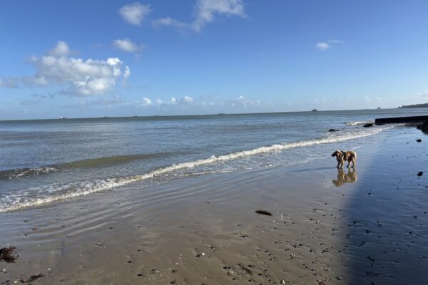 Bembridge Beachphoto