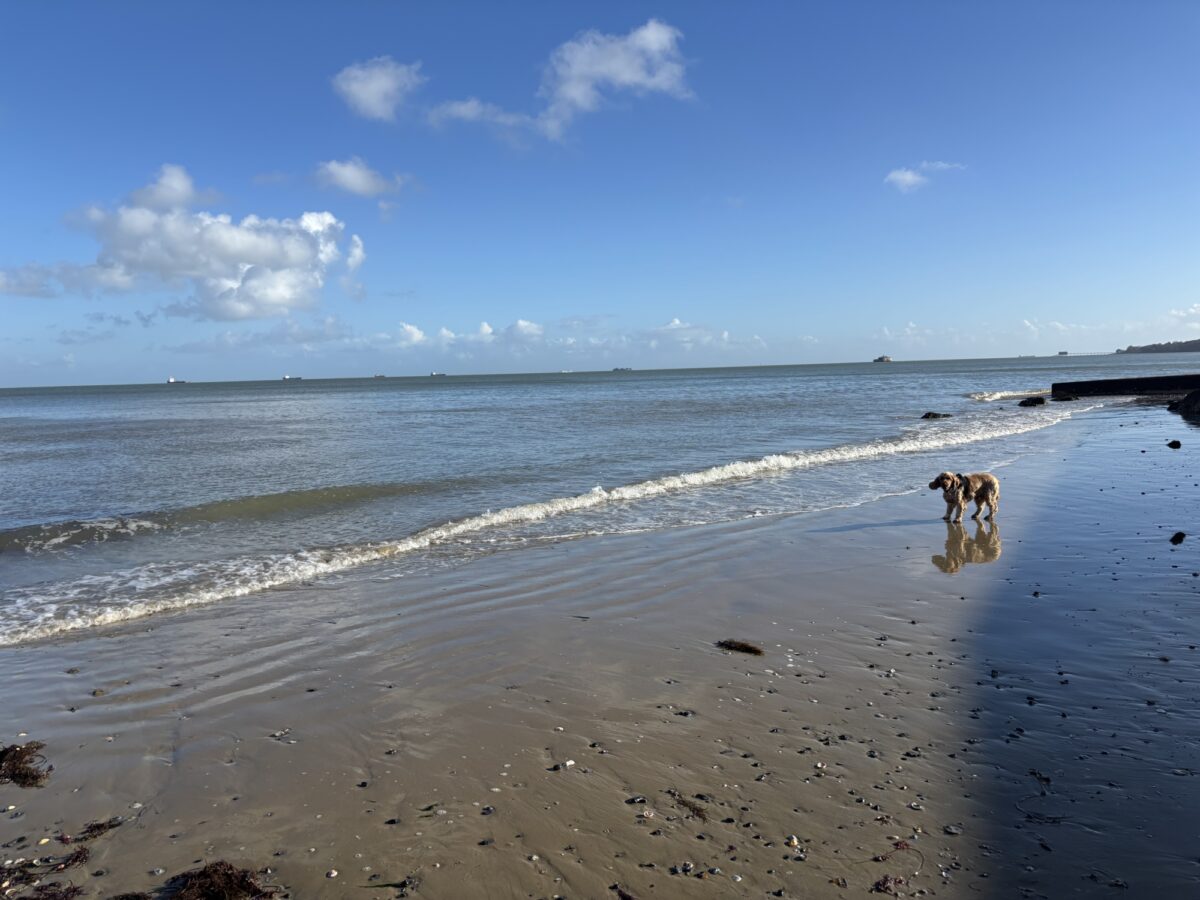 Bembridge Beach large photo 1