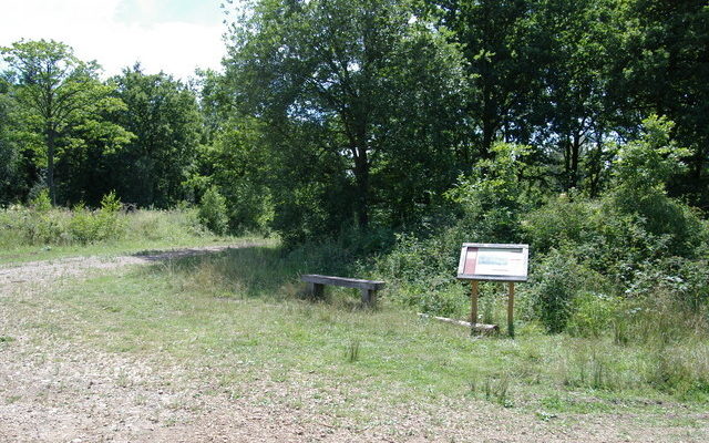 Bernwood Forest Dog walk in Oxfordshire