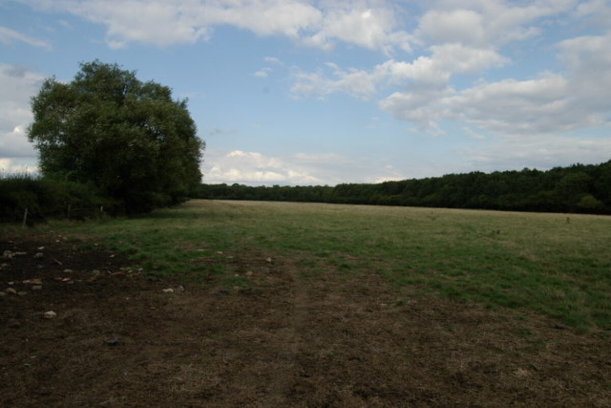 Bernwood Forest large photo 6