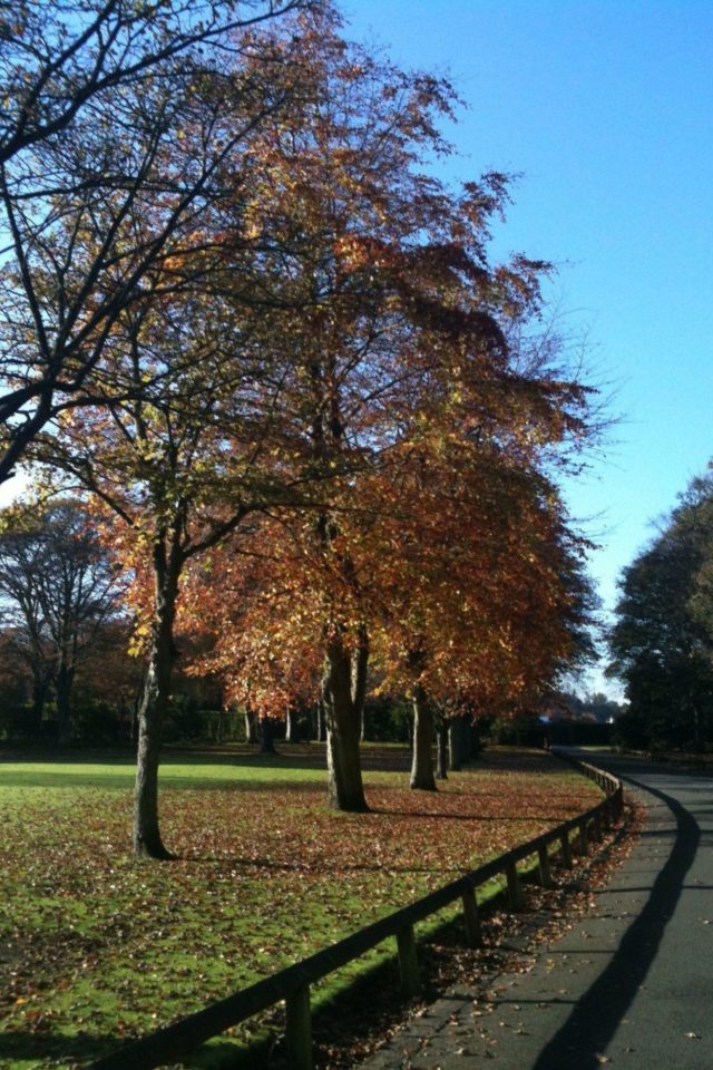 Dog walk at Beveridge Park · Fife · Walkiees