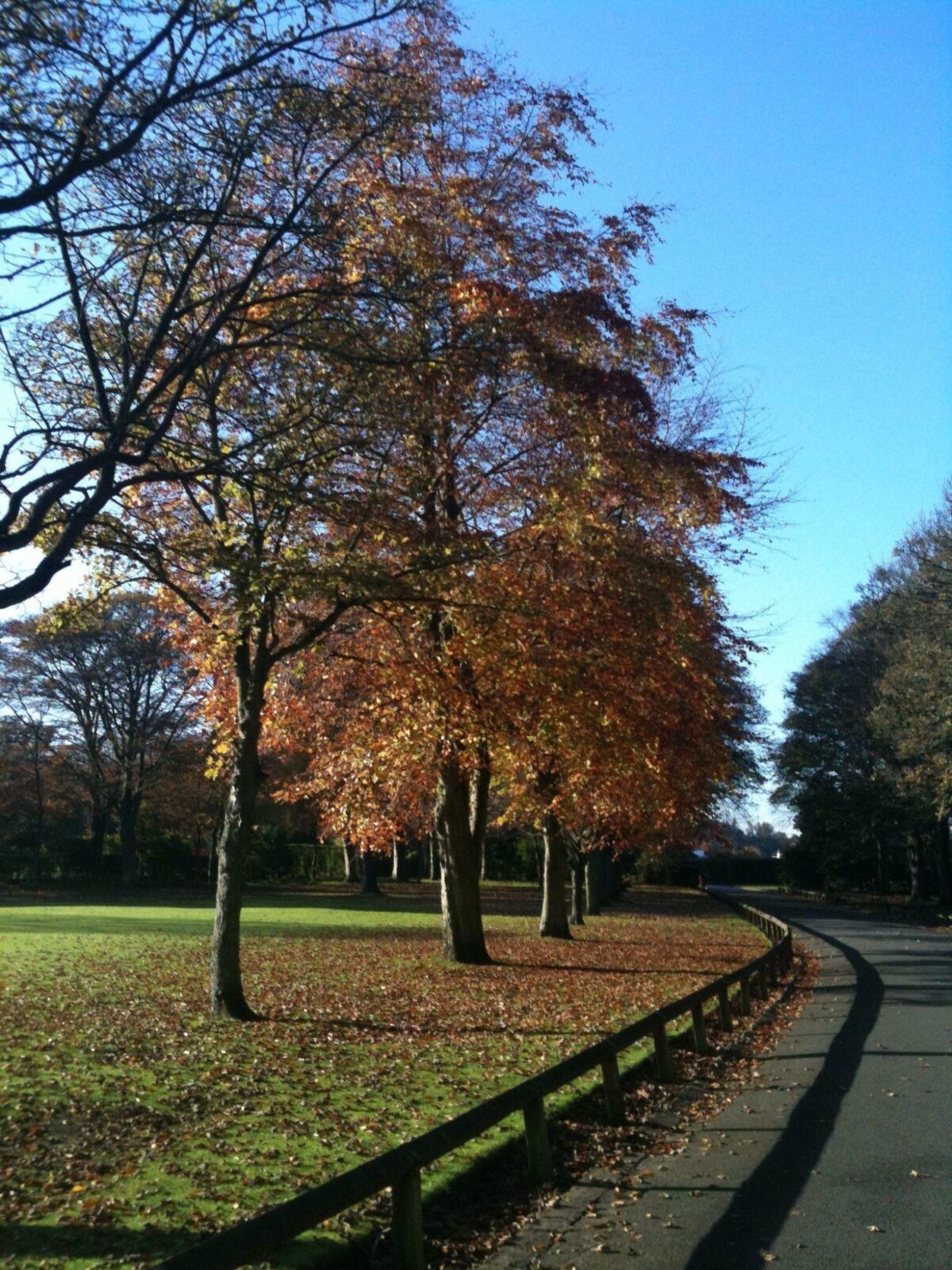 Beveridge Park large photo 1