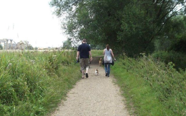 St Neots - Weekly Walk Dog walk in Cambridgeshire