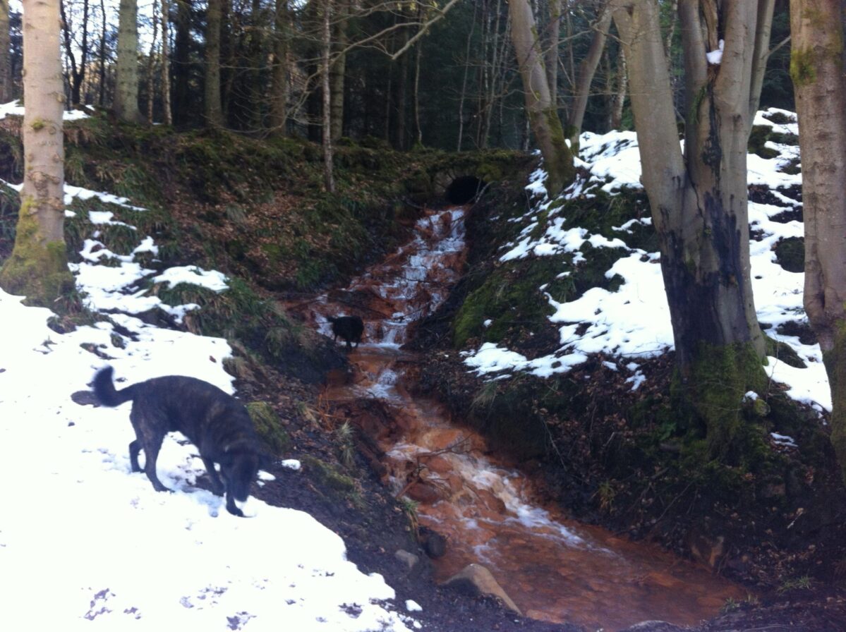 Blairadam Forest large photo 2