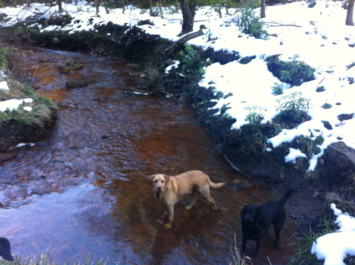 Blairadam Forest large photo 3