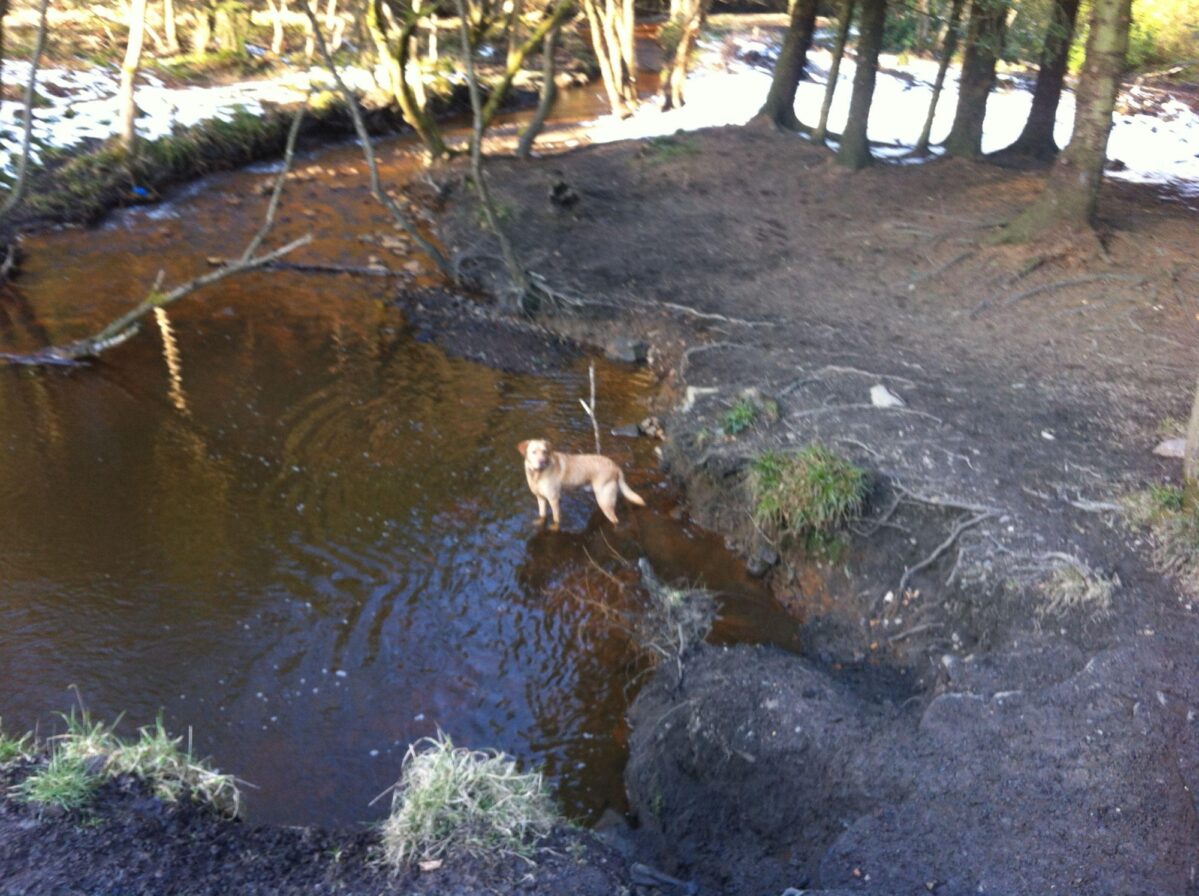 Blairadam Forest large photo 4