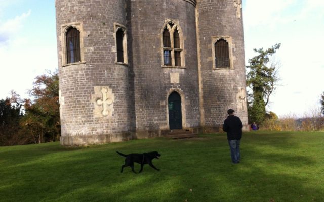 Blaise Castle Estate Dog walk in Bristol (City of)
