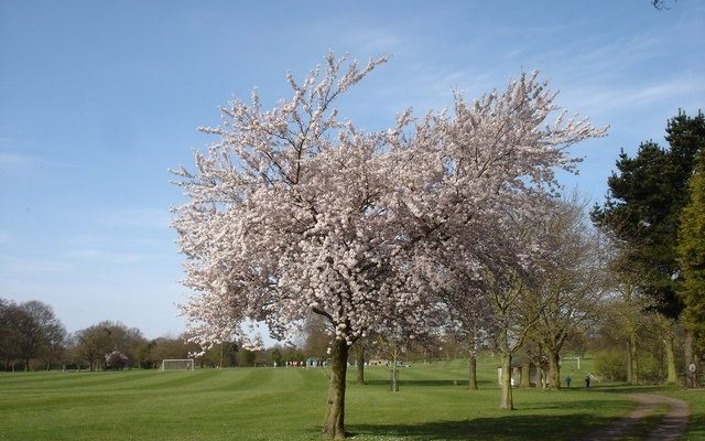 Bourne Park Dog walk in Suffolk (East)