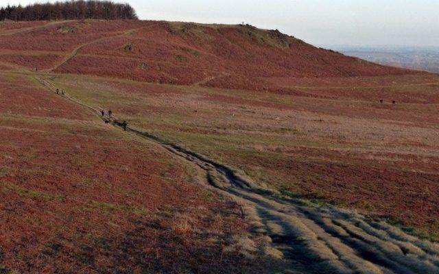 Bradgate Park Trail Dog walk in Leicestershire