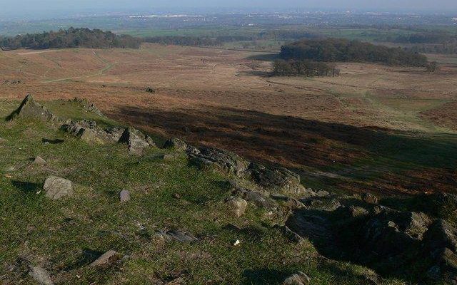 Bradgate Park Trail Dog walk in Leicestershire