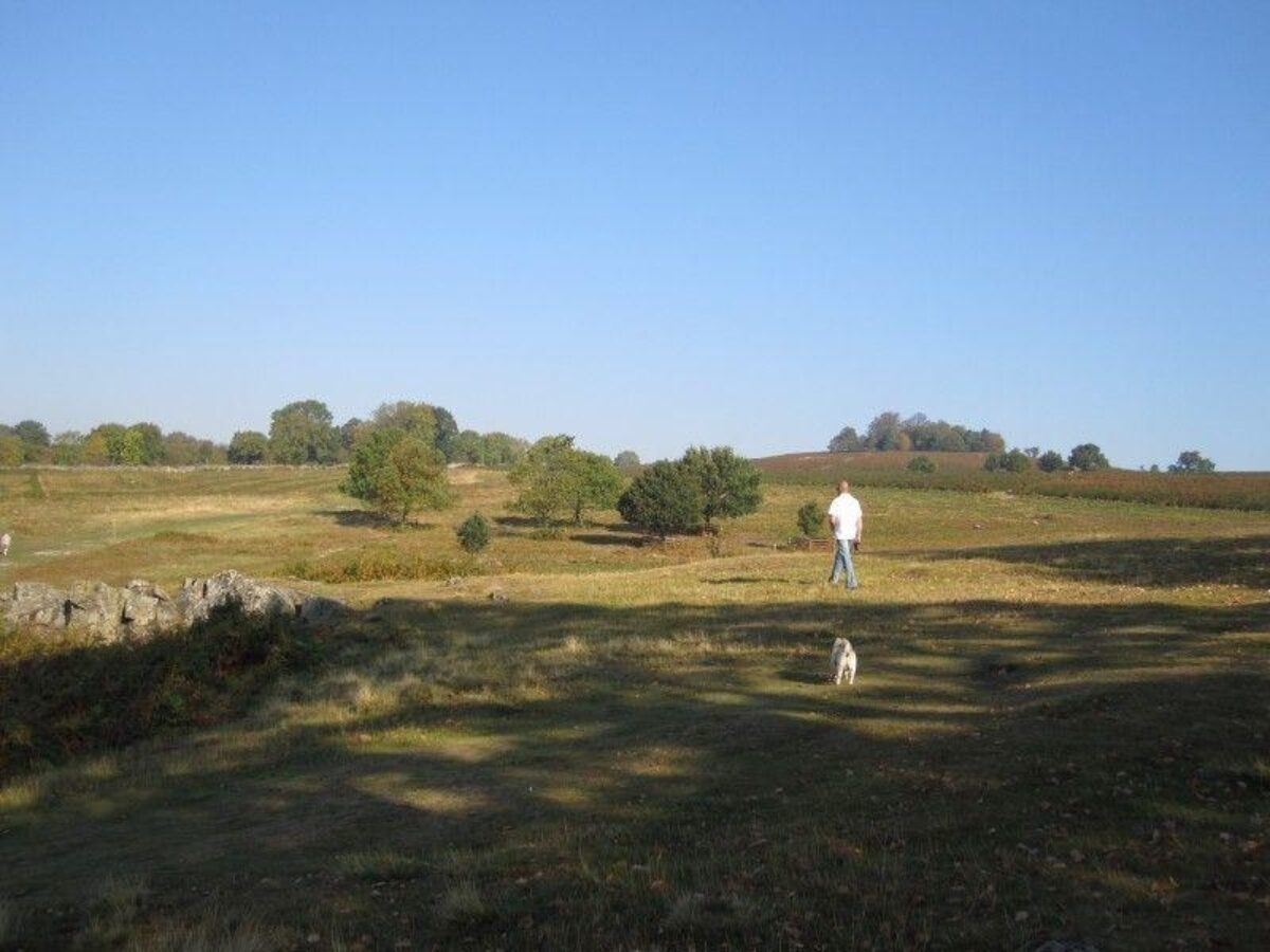 Bradgate Park large photo 3