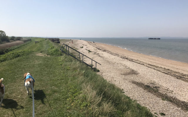 Bradwell Beach Dog walk in Essex