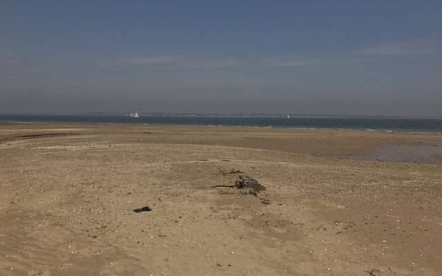 Bradwell Beach Dog walk in Essex