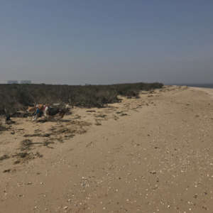 Bradwell Beach