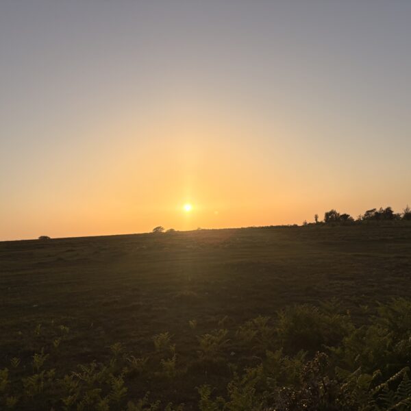 Bramble Hill Walk photo 5