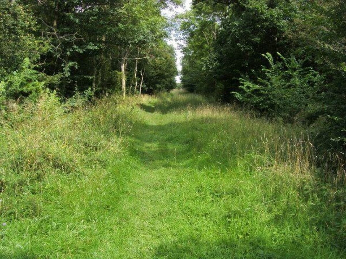 Brampton Woods Near Huntingdon large photo 1