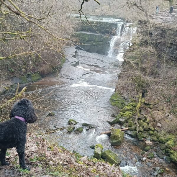 Brecon 4 Waterfalls photo 1