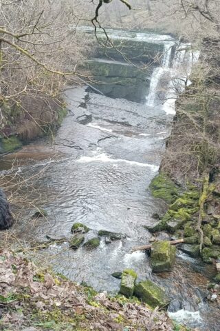Dog walk at Brecon 4 Waterfalls photo