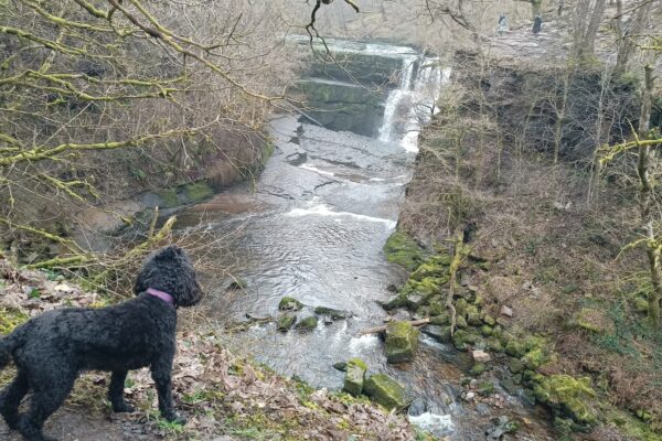 Brecon 4 Waterfallsphoto