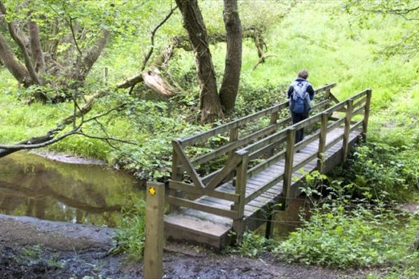 Brereton Country Park to the Swettenham Armsphoto