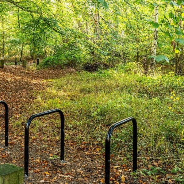 Broadland Country Park photo 3