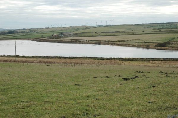 Broadstone Reservoirphoto