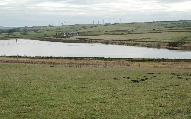 Broadstone Reservoir Dog walk in Yorkshire (West)