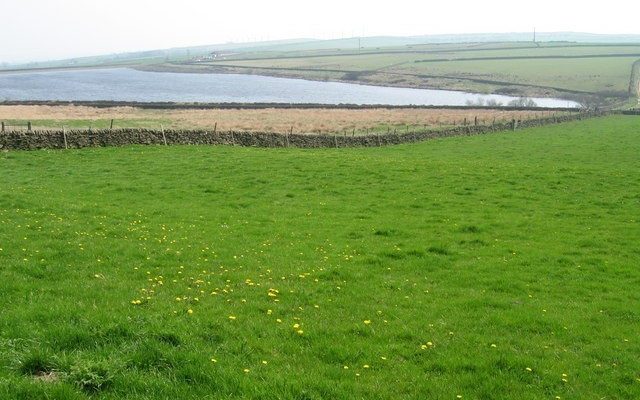 Broadstone Reservoir Dog walk in Yorkshire (West)