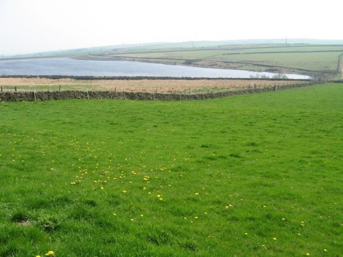 Broadstone Reservoir large photo 2