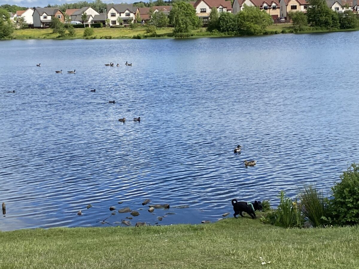 Broadwood Loch large photo 11