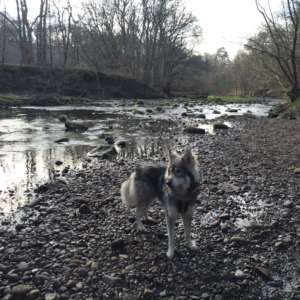 Brock Bottom