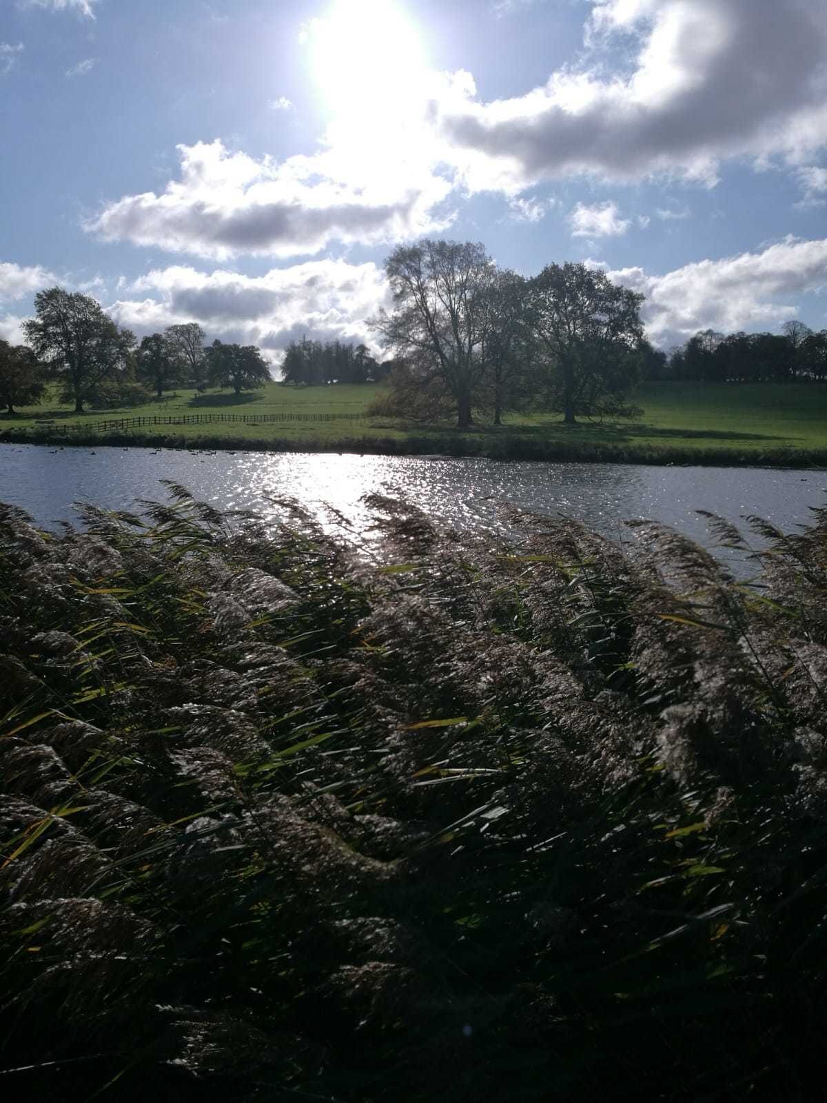 Burghley House large photo 7