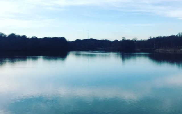 Burton Riggs Nature Reserve Dog walk in Yorkshire