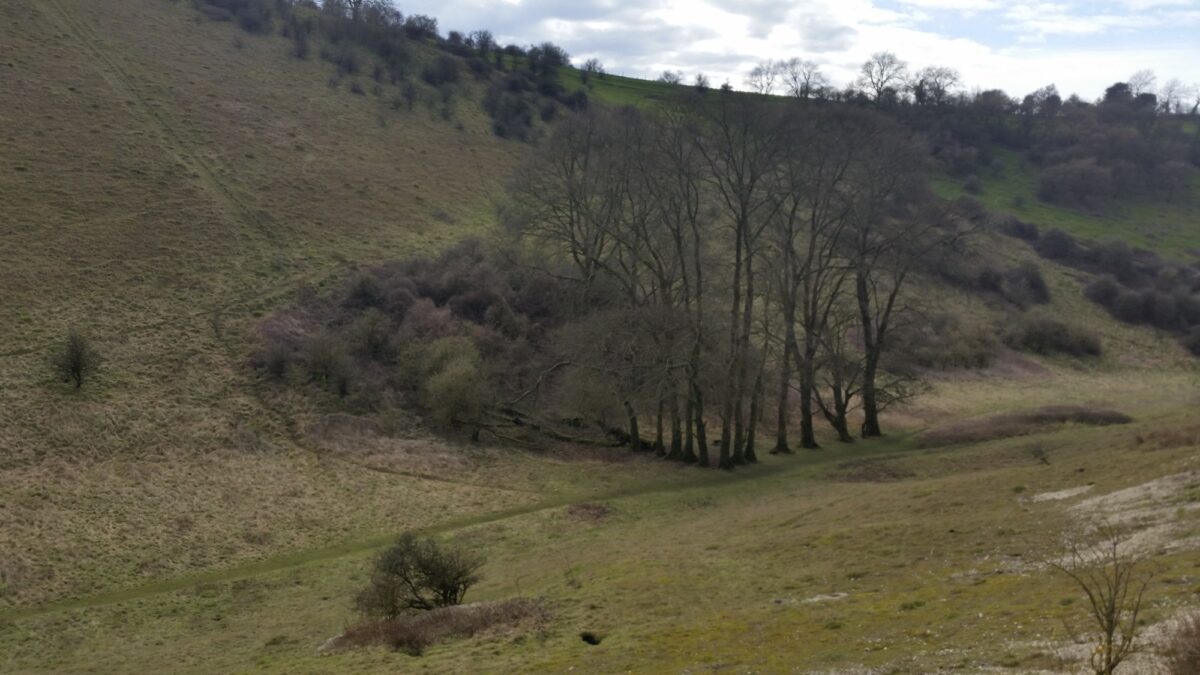 Butser Hill large photo 1