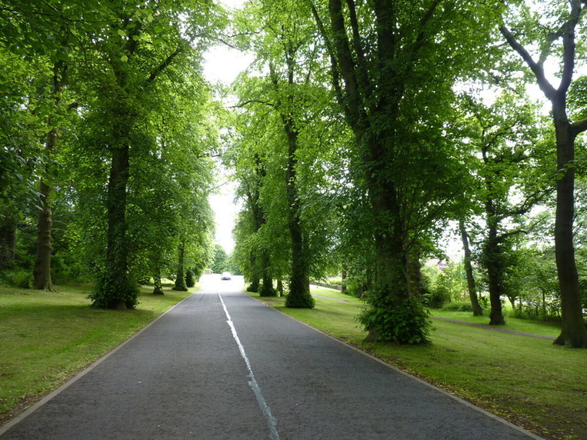 Camperdown Country Park large photo 4