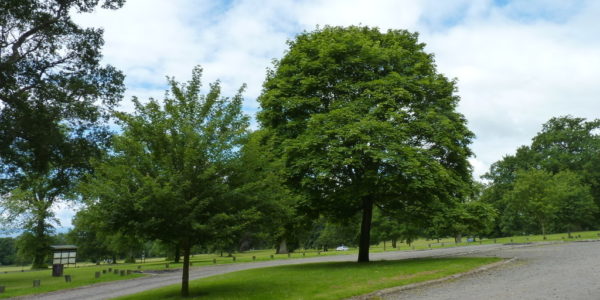 Camperdown Country Park
