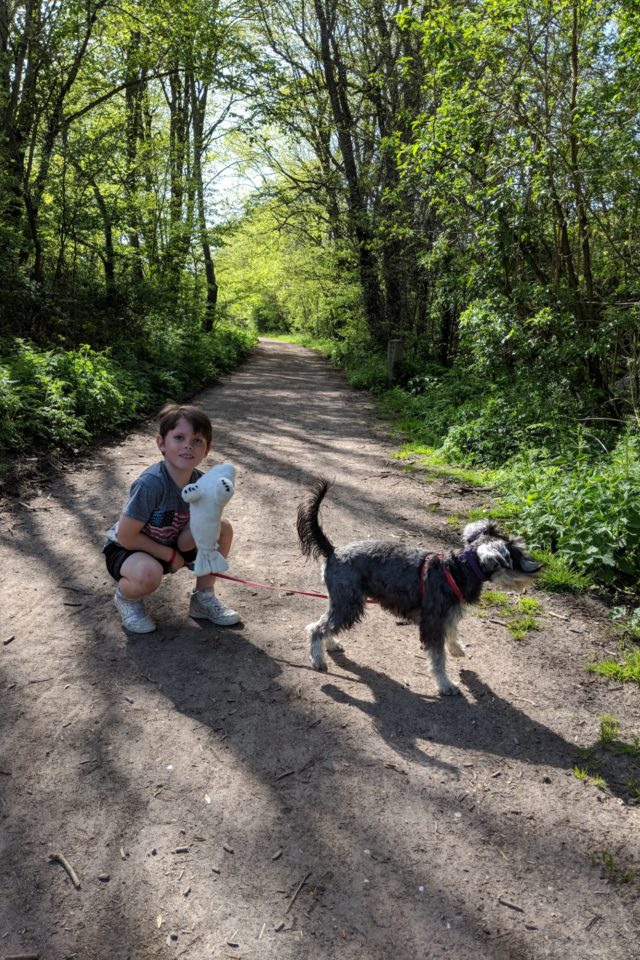Dog walk at Canal Hythe Port Lympne · Kent · Walkiees