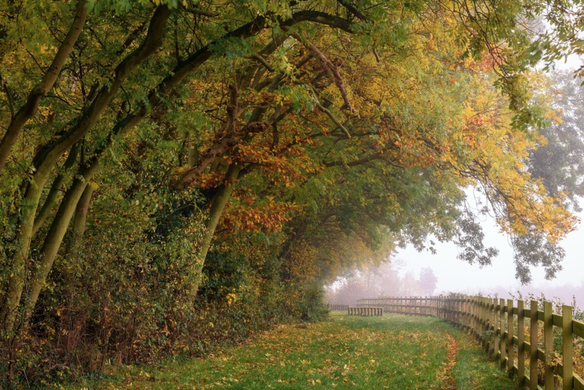 Capstone Farm Country Park large photo 1