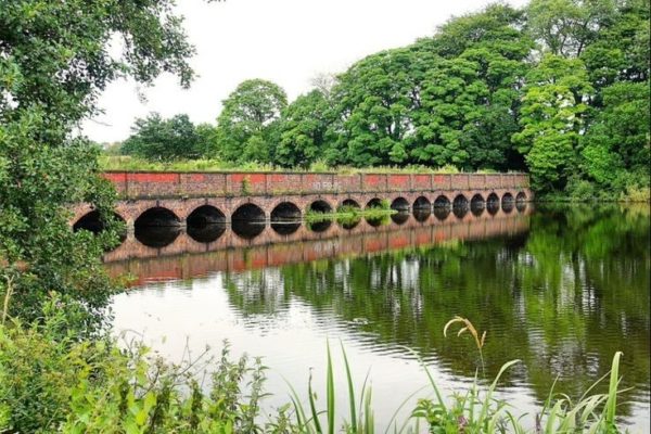 Carr Mill Damphoto