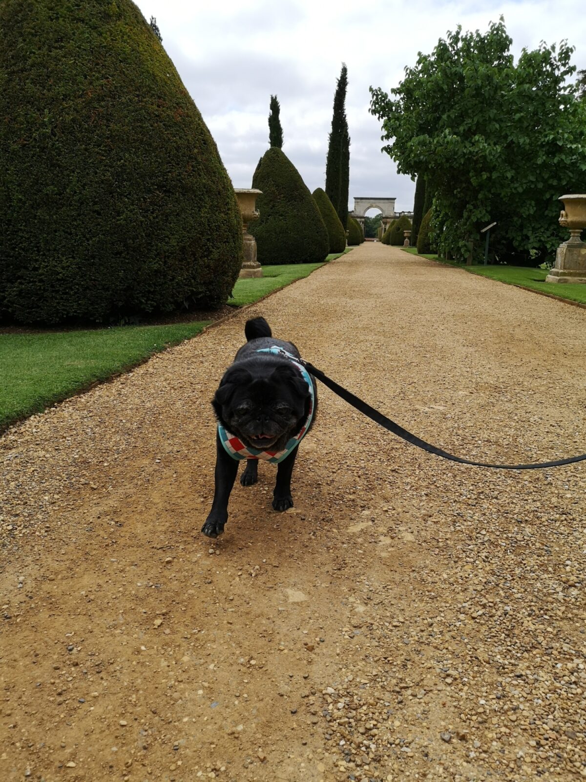 Castle Ashby Gardens large photo 4