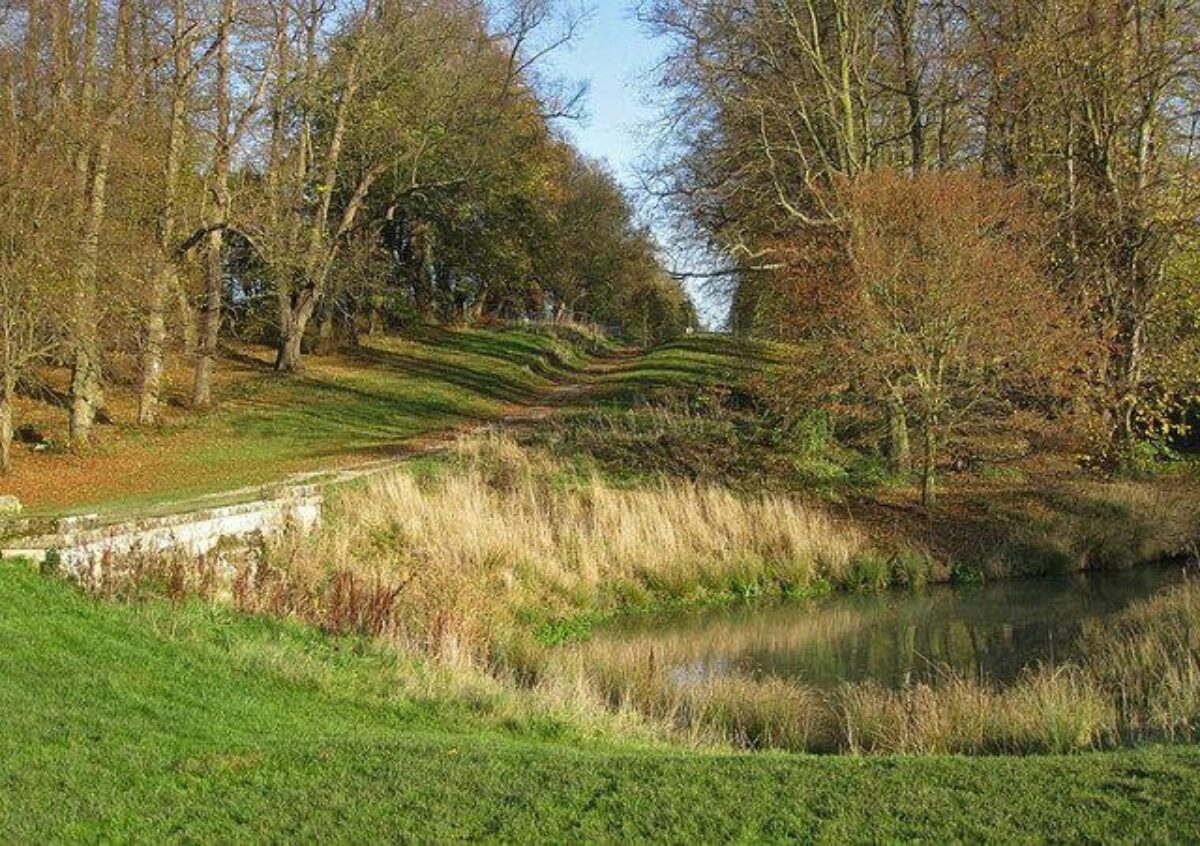 Dog Walk At Castle Howard Arboretum Yorkshire North Walkiees