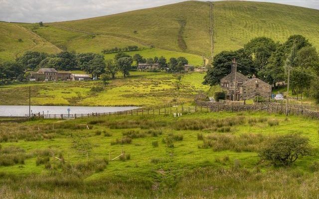 Castleshaw Reservoirs Walk, Delph, Heights Circular Dog walk in Yorkshire (West)