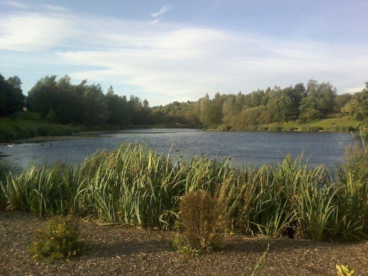 Chadwick Dam large photo 1